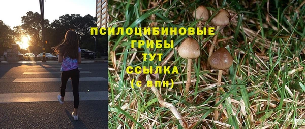 PSILOCYBIN Волоколамск